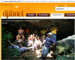 Coleta de Sementes Livres de Aldeia Velha